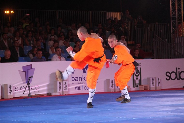 Martial Arts Festival